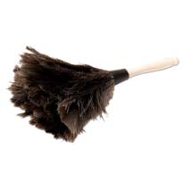 Feather Duster