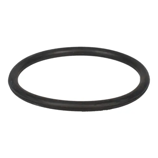 [P199] Eureka Vacuum Belt